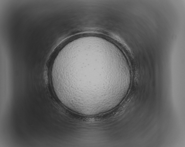 X0000100231360200806201435