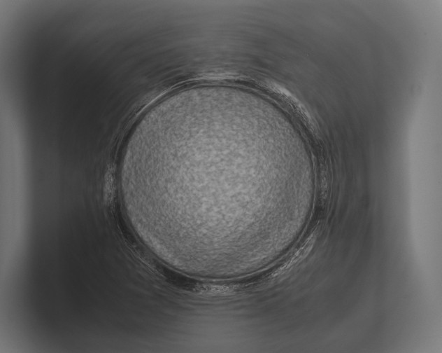 X0000100231361200806201435