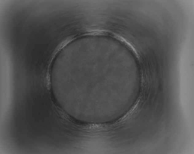 X0000100231362200806201435