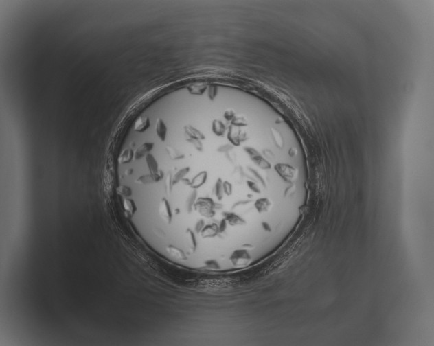 X0000100231363200806201435