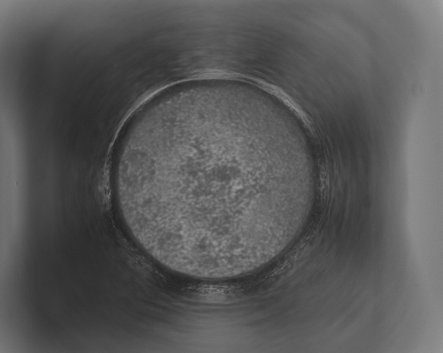 X0000100231364200806201435