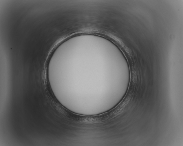 X0000100231366200806201435