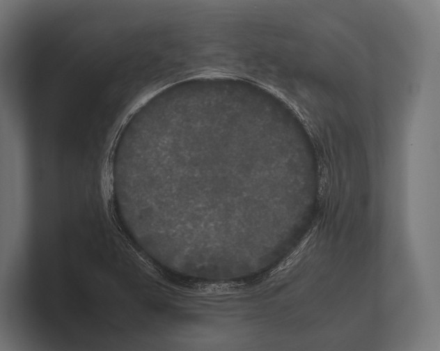 X0000100231367200806201435