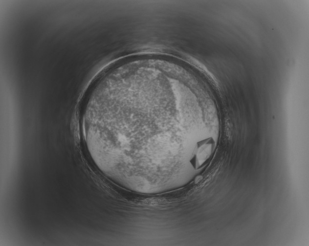 X0000100231368200806201435