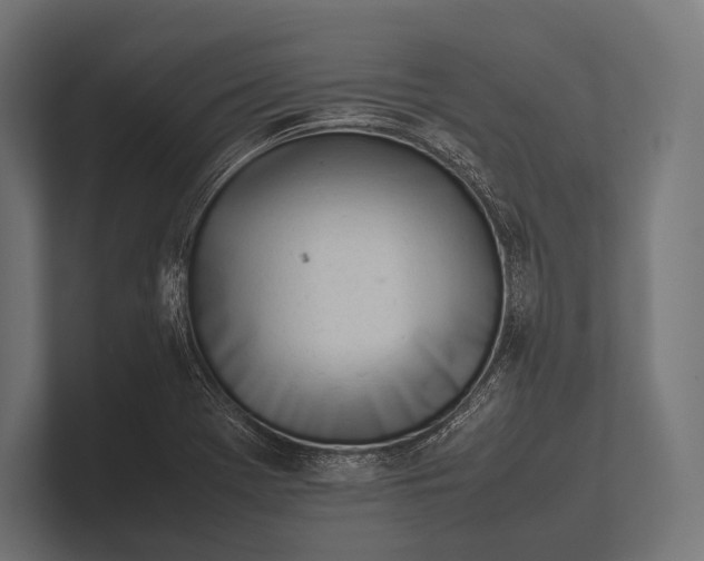 X0000100231369200806201435