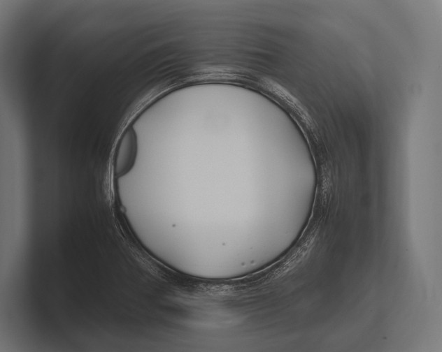 X0000100231370200806201435