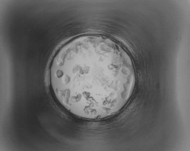 X0000100231371200806201435