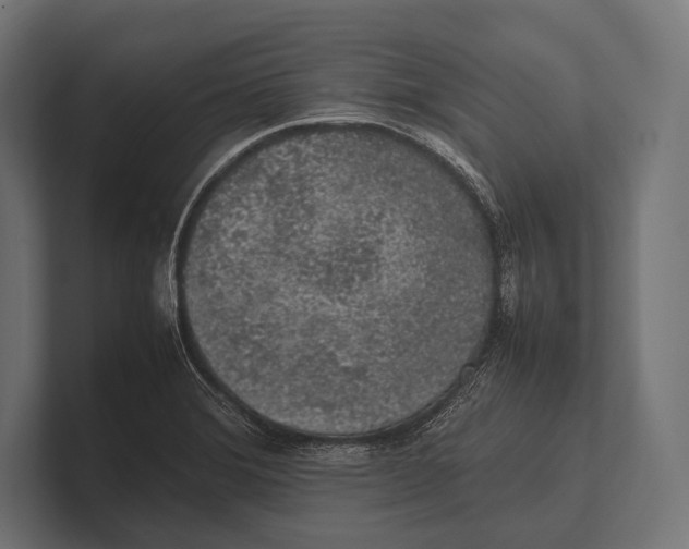 X0000100231372200806201435