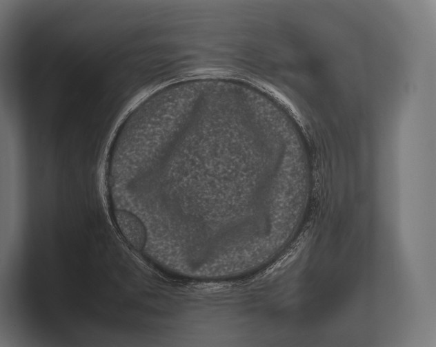 X0000100231373200806201435