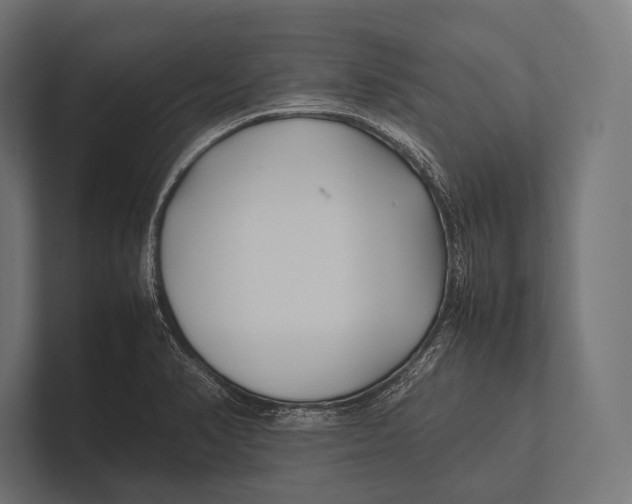 X0000100231374200806201435