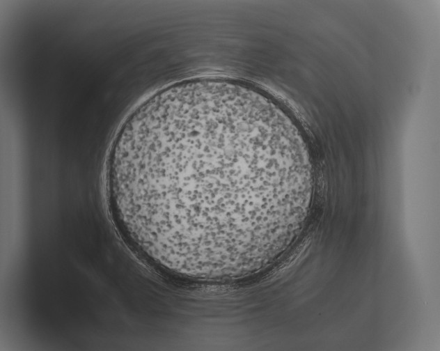 X0000100231375200806201435