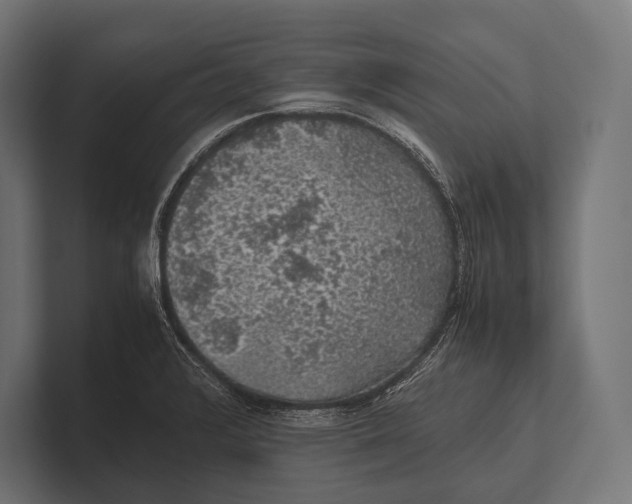 X0000100231376200806201435