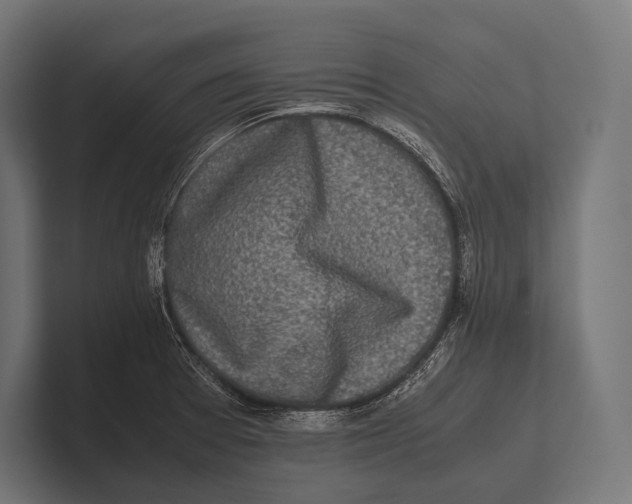 X0000100231377200806201435