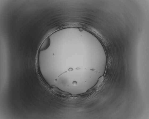 X0000100231378200806201435