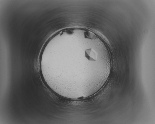 X0000100231380200806201435