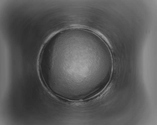 X0000100231381200806201435