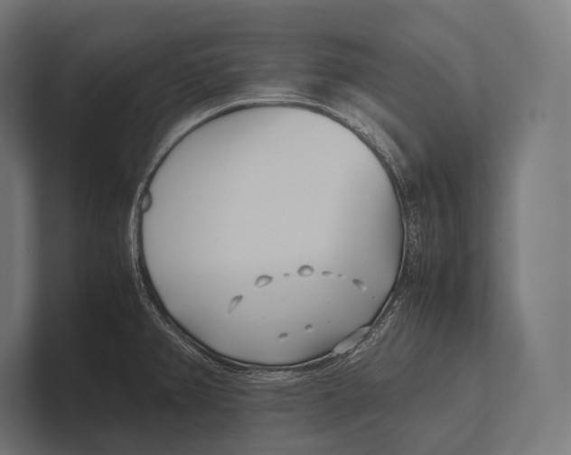 X0000100231382200806201435