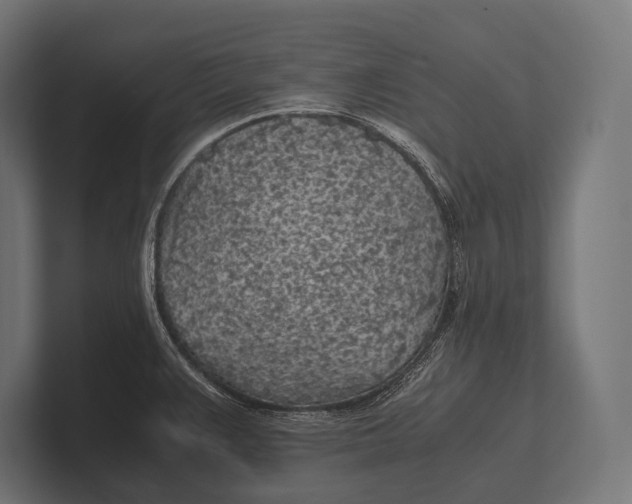 X0000100231383200806201435