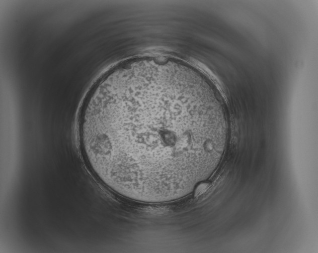 X0000100231384200806201435