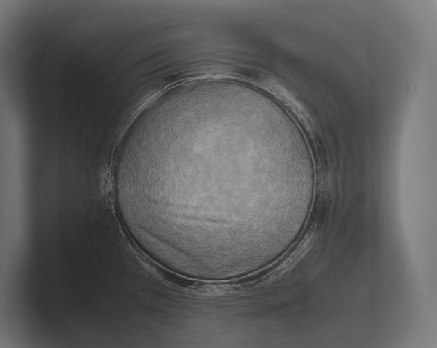 X0000100231385200806201435