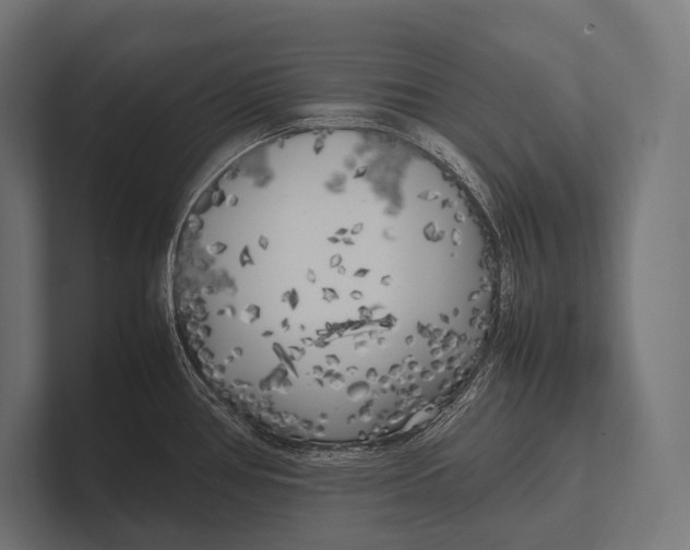 X0000100231386200806201435