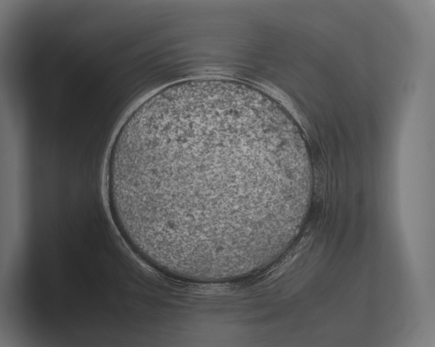 X0000100231387200806201435