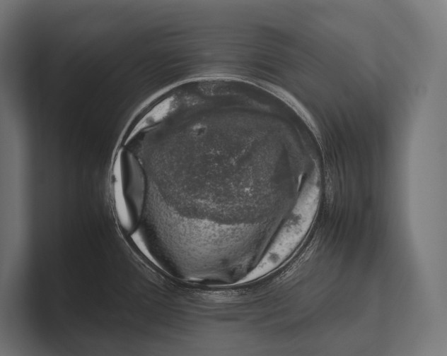 X0000100231388200806201435