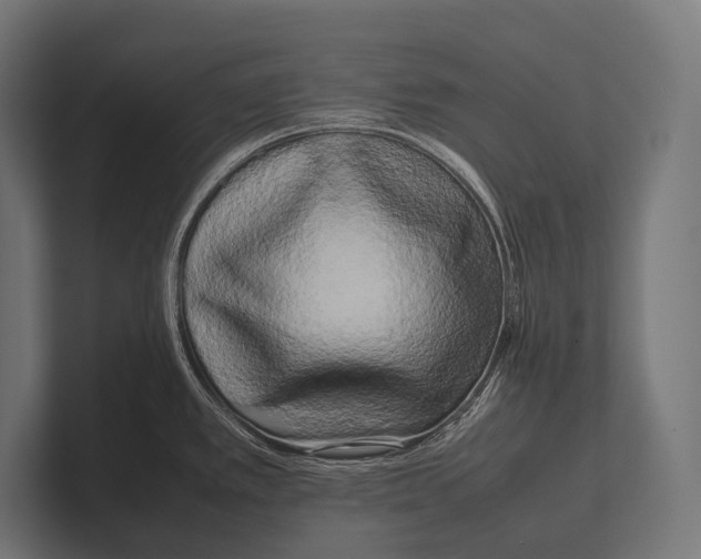 X0000100231389200806201435