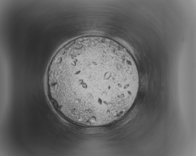 X0000100231391200806201435