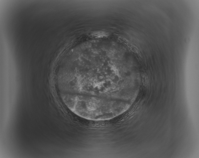 X0000100231393200806201434