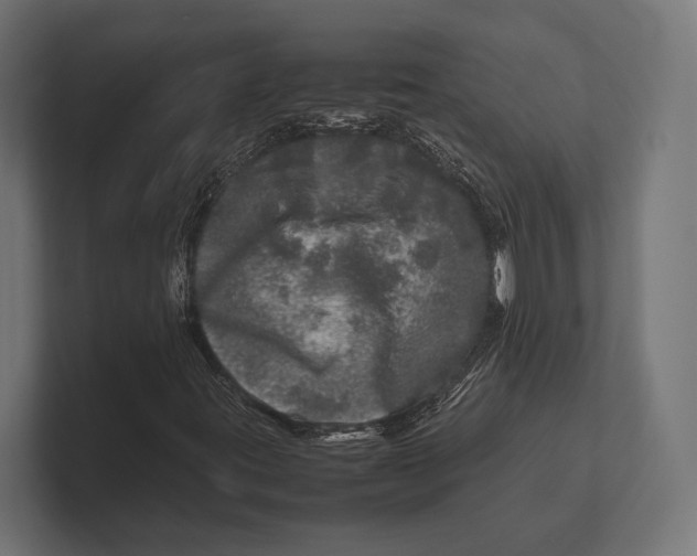 X0000100231395200806201434