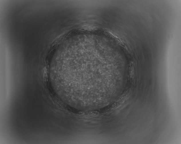 X0000100231397200806201434