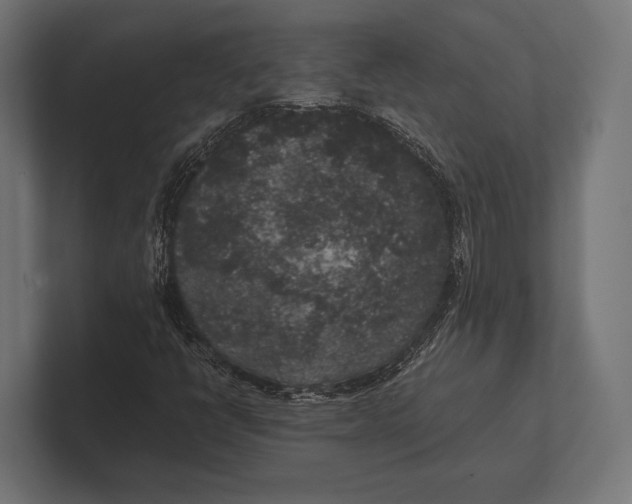 X0000100231398200806201434