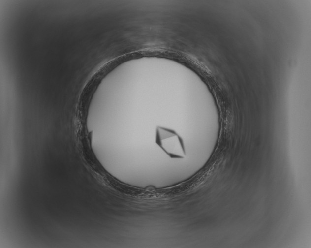 X0000100231400200806201434