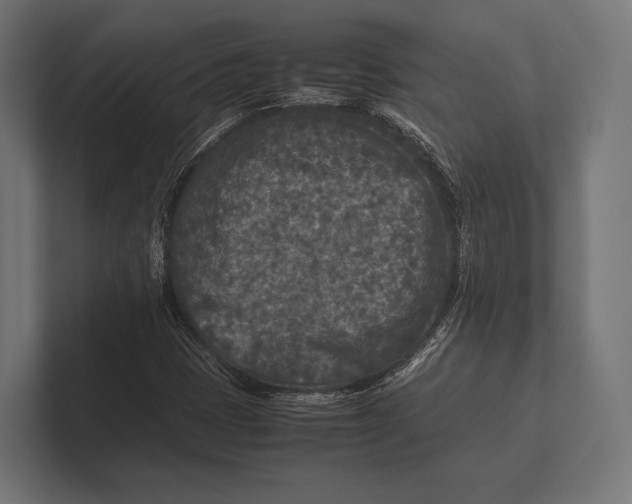 X0000100231401200806201434