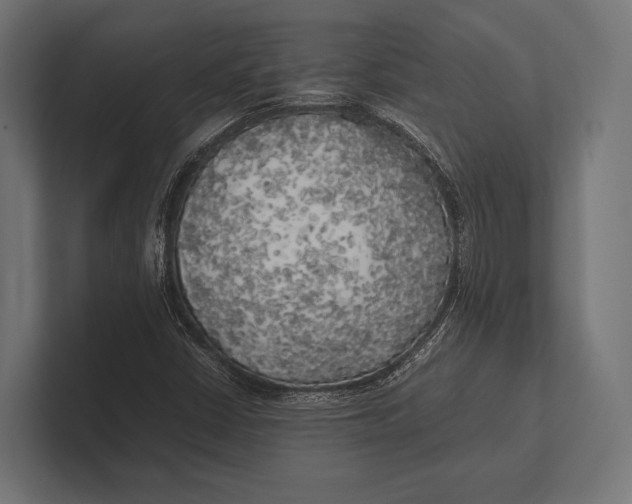 X0000100231402200806201434