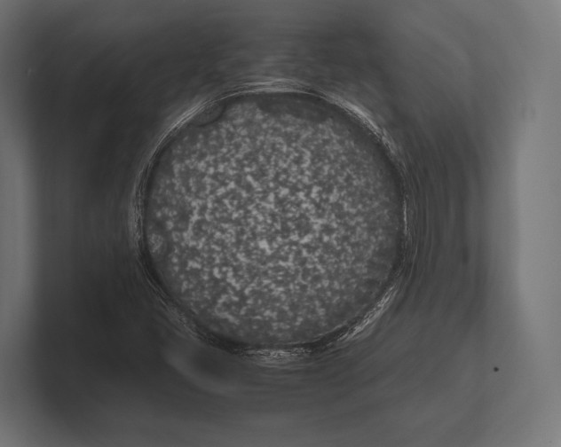 X0000100231405200806201434