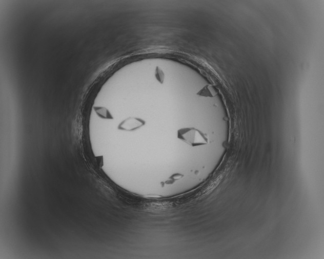 X0000100231406200806201434