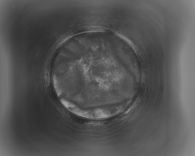 X0000100231407200806201434