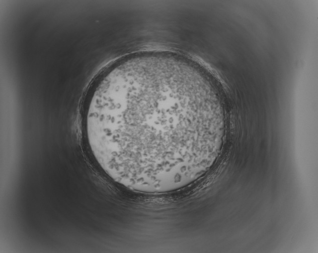 X0000100231408200806201434