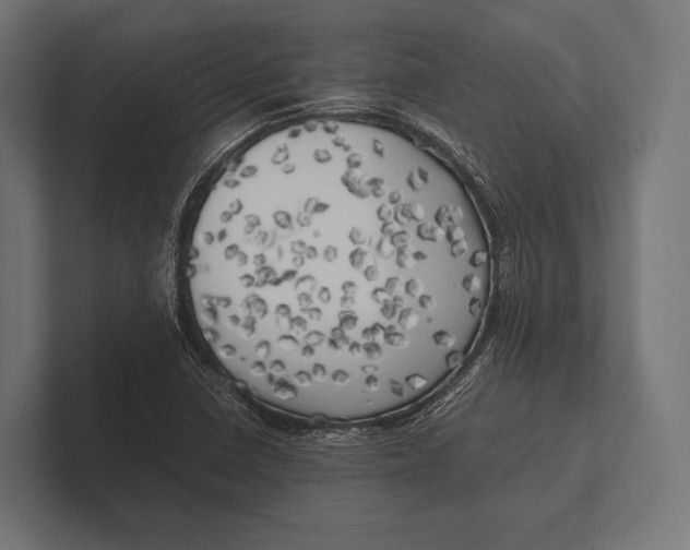 X0000100231410200806201434