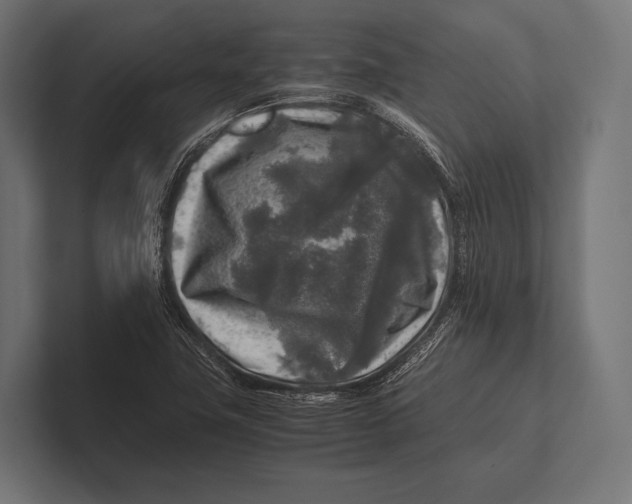 X0000100231411200806201434