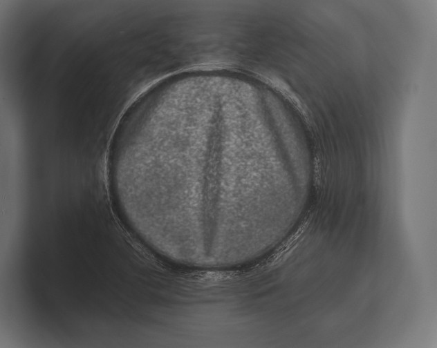 X0000100231412200806201434