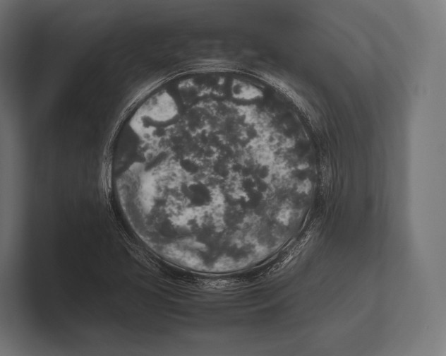 X0000100231413200806201434