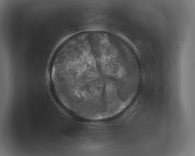 X0000100231416200806201434