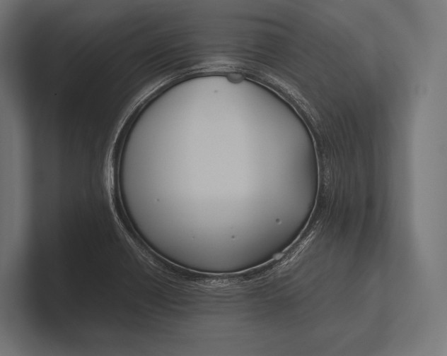 X0000100231418200806201434