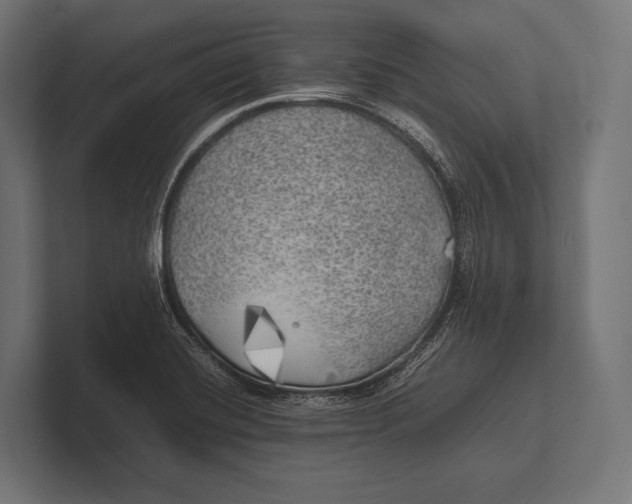 X0000100231420200806201434