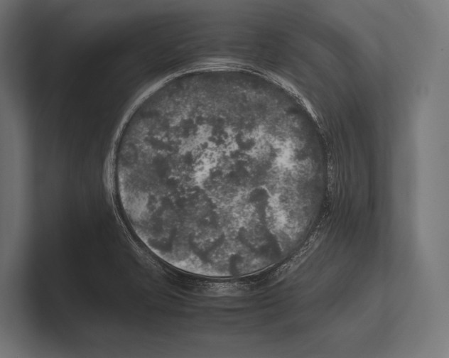 X0000100231421200806201434