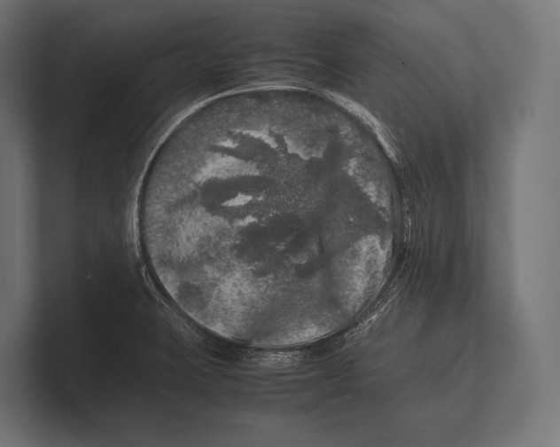 X0000100231423200806201434