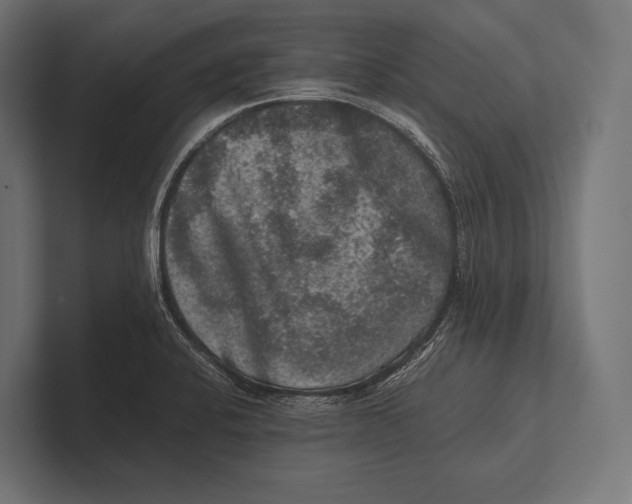 X0000100231424200806201434